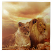 Mooi leeuwenpaar tegeltje (Voorkant)