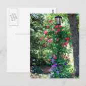 Mooi licht briefkaart (Voorkant / Achterkant)