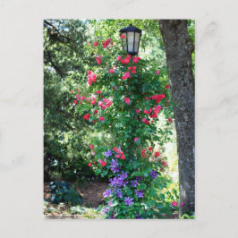 Mooi licht briefkaart