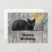Mooi Log Foto Verjaardag Zwarte Kat Briefkaart (Voorkant / Achterkant)