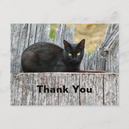 Mooi Logfoto van Zwarte Kat Bedankt Briefkaart
