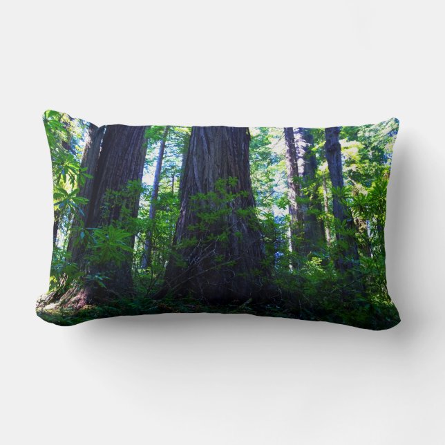 Mooi Lush Redwood Forest Kussen (Voorkant)