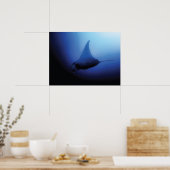Mooi Manta Ray Poster (Keuken)