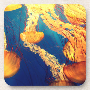 Mooi marien leven: Golden Jellyfish Bier Onderzetter
