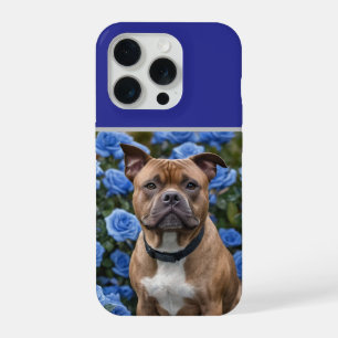 "Mooi Meisje: Een bruine Staffy in een blauwe roze iPhone 15 Pro Case