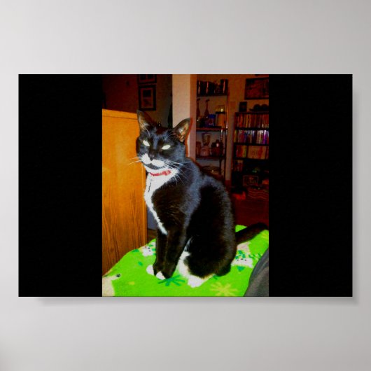 Mooi meisje Lucy Poster (Voorkant)