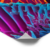 Mooi Mermaid Zee Nymph Poster (Hoek)