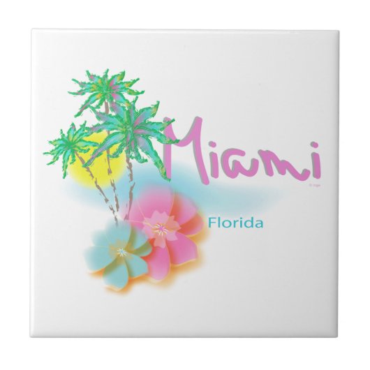 Mooi Miami Florida Tegeltje (Voorkant)