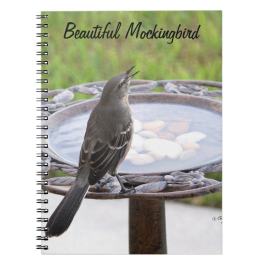 Mooi Mockingbird Birdbath Notitieboek (Voorkant)