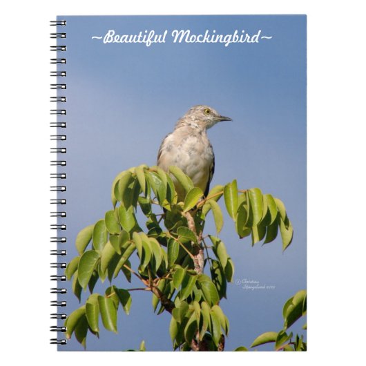 Mooi Mockingbird Notitieboek (Voorkant)