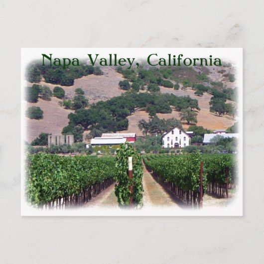 Mooi Napa Valley Briefkaart! Briefkaart (Voorkant)