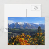 Mooi Nieuw-Zeeland Briefkaart (Voorkant / Achterkant)