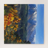 Mooi Nieuw-Zeeland Legpuzzel (Horizontaal)