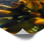 Mooi Nieuw-Zeeland Poster (Hoek)