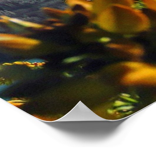 Mooi Nieuw-Zeeland Poster (Hoek)