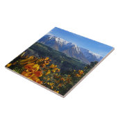 Mooi Nieuw-Zeeland Tegeltje (Zijkant)