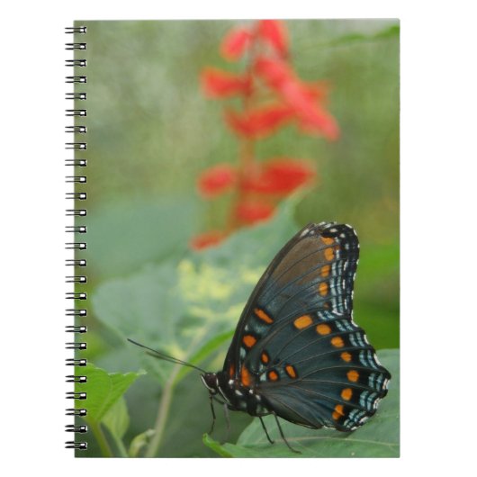 Mooi Notitieboek voor vlinder (Voorkant)