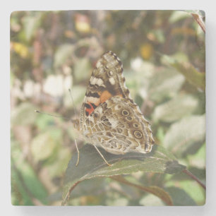 Mooi Onderzetter voor Butterfly Stone