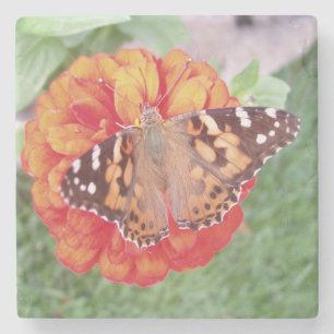 Mooi Onderzetter voor Butterfly Stone
