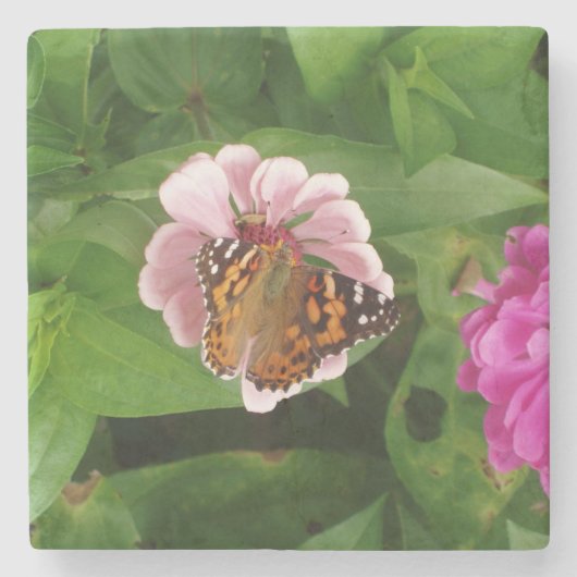 Mooi Onderzetter voor Butterfly Stone (Voorkant)