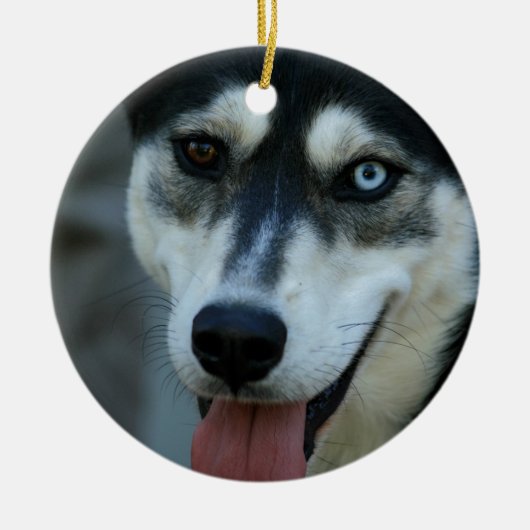 Mooi One Blue Eye Siberian Husky Keramisch Ornament (Voorkant)