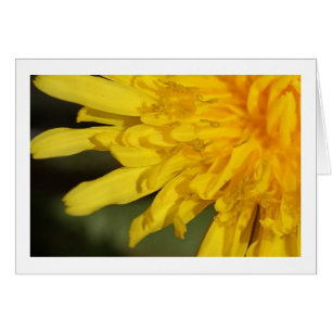 Mooi onkruid: Dandelion-kaart