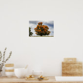 Mooi Oranje Poster (Keuken)