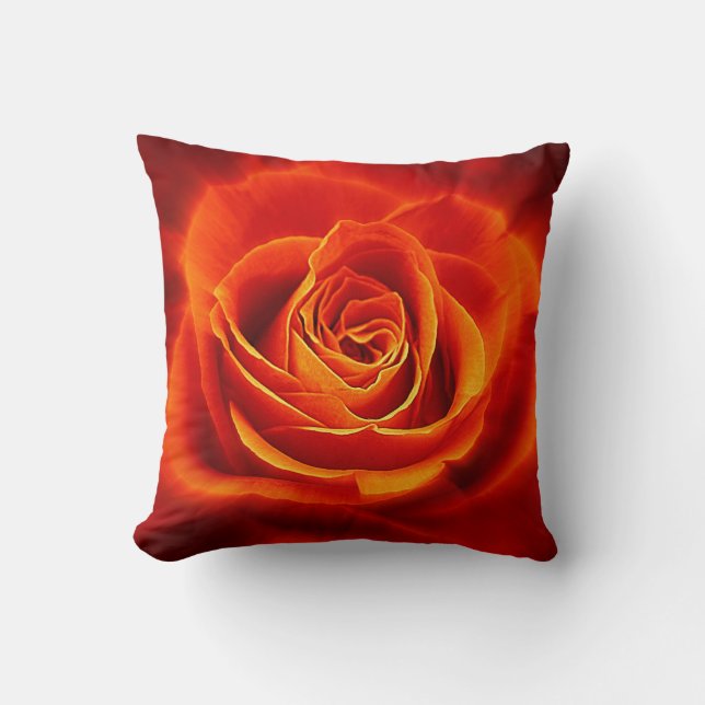Mooi Oranje Roos met gloeiend rood Kussen (Voorkant)