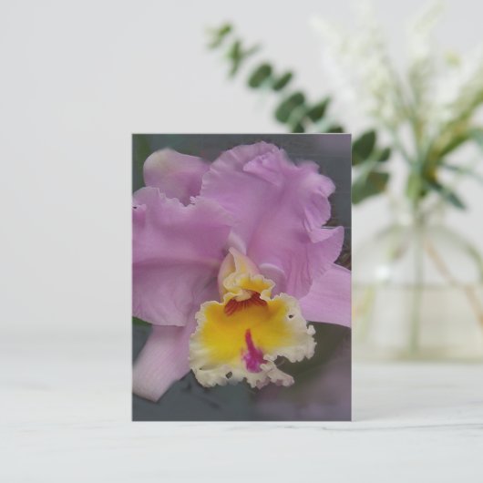 Mooi Orchid Briefkaart (Staand voorkant)