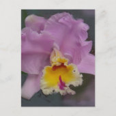 Mooi Orchid Briefkaart (Voorkant)