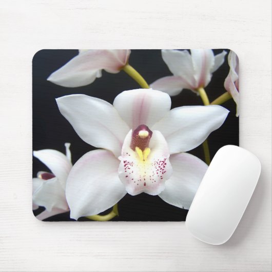 Mooi Orchid Muismat (Met muis)