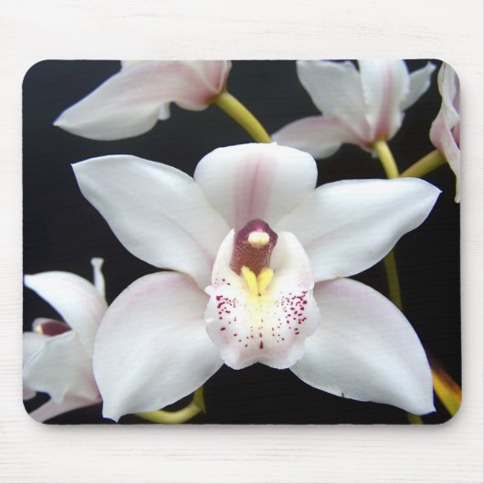 Mooi Orchid Muismat (Voorkant)