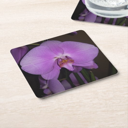 Mooi orchidee Onderzetter (Schuin)
