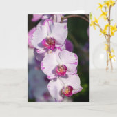 Mooi orchidee Wenskaart Kaart (Gele Bloem)