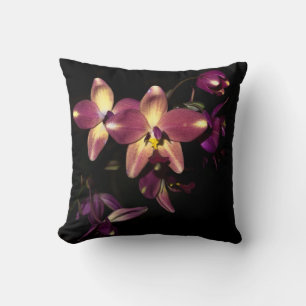 Mooi Orchideeën Sierkussen
