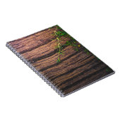 Mooi oud hout notitieboek (Rechterzijde)