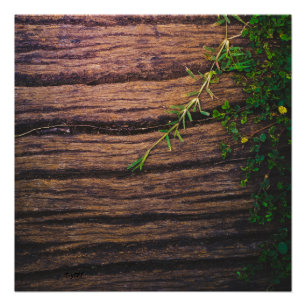 Mooi oud hout perfect poster