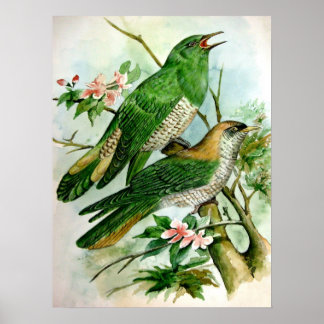 mooi oud posterschilderij 27 poster