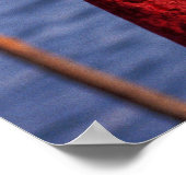 Mooi paar van overs poster (Hoek)