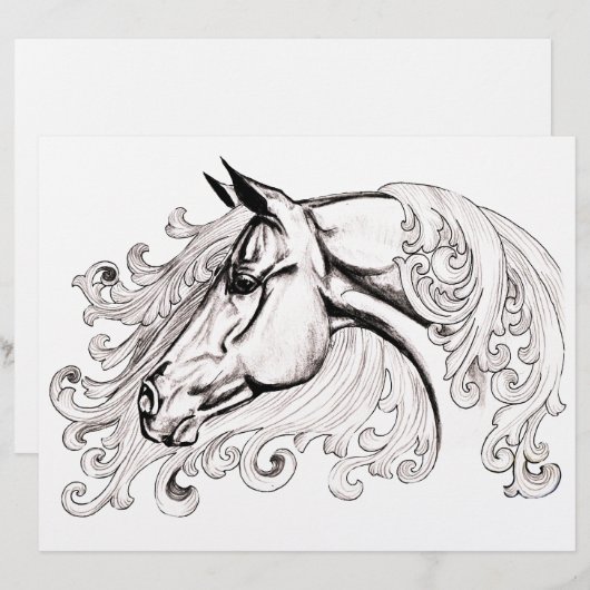 mooi paard (Voorkant / Achterkant)