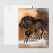 Mooi paard briefkaart (Voorkant / Achterkant)