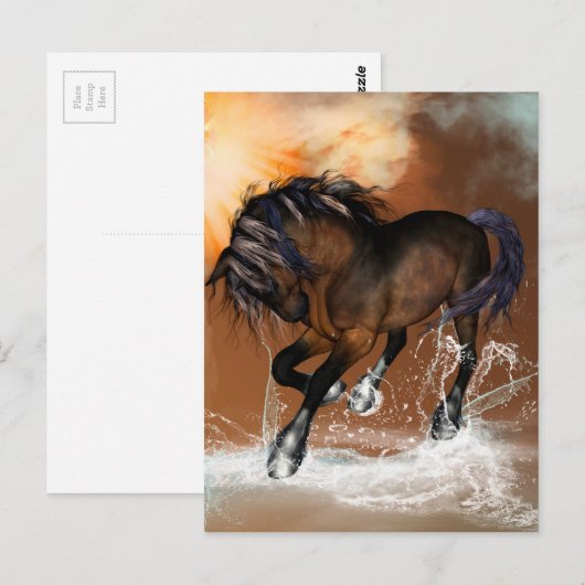 Mooi paard briefkaart (Voorkant / Achterkant)