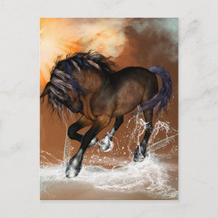 Mooi paard briefkaart