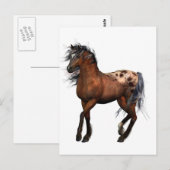 mooi paard briefkaart (Voorkant / Achterkant)