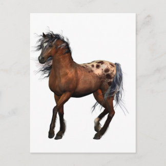 mooi paard briefkaart