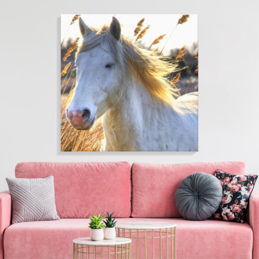 Mooi paard canvas afdruk (Insitu (Woonkamer))