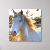 Mooi paard canvas afdruk (Voorkant)