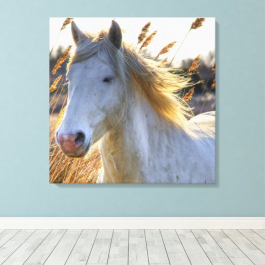 Mooi paard canvas afdruk (Insitu (Houten vloer))