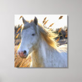 Mooi paard canvas afdruk (Voorkant)