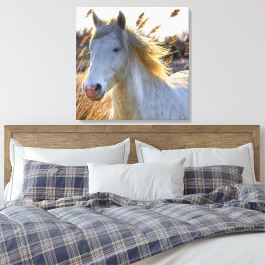 Mooi paard canvas afdruk (Insitu (Slaapkamer))